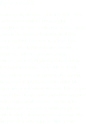 April Kendall
As far as my bio goes I am only at the very start in my pursuit for photographic excellence;) I started out offering free family portraits to people affected by the Black Saturday bush fires and from there have worked steadily taking family portraits, corporate portraits, products, sport, animals...actually I'll photograph anything (except landscapes, I'm terrible at that!)
The look of someone emotionally exposing themselves is just the most beautiful thing and a genuine honor to witness. I guess this project just shows that despite having scars which some would want to hide from the world these already very brave people are able to share their amazing stories and give the rest of us something to think about! 